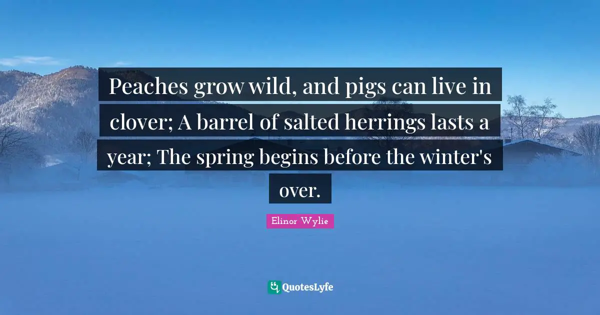 Peaches grow wild, and pigs can live in clover; A barrel of salted herrings lasts a year; The spring begins before the winter's over.