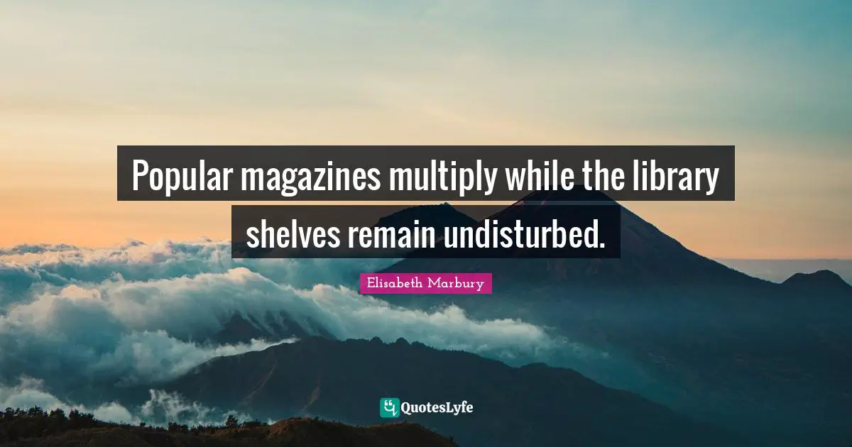 Popular magazines multiply while the library shelves remain undisturbed.