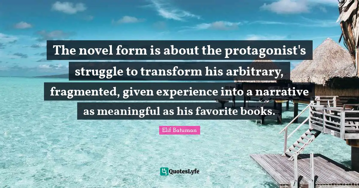 The novel form is about the protagonist's struggle to transform his arbitrary, fragmented, given experience into a narrative as meaningful as his favorite books.