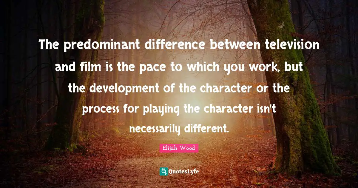 The predominant difference between television and film is the pace to which you work, but the development of the character or the process for playing the character isn't necessarily different.