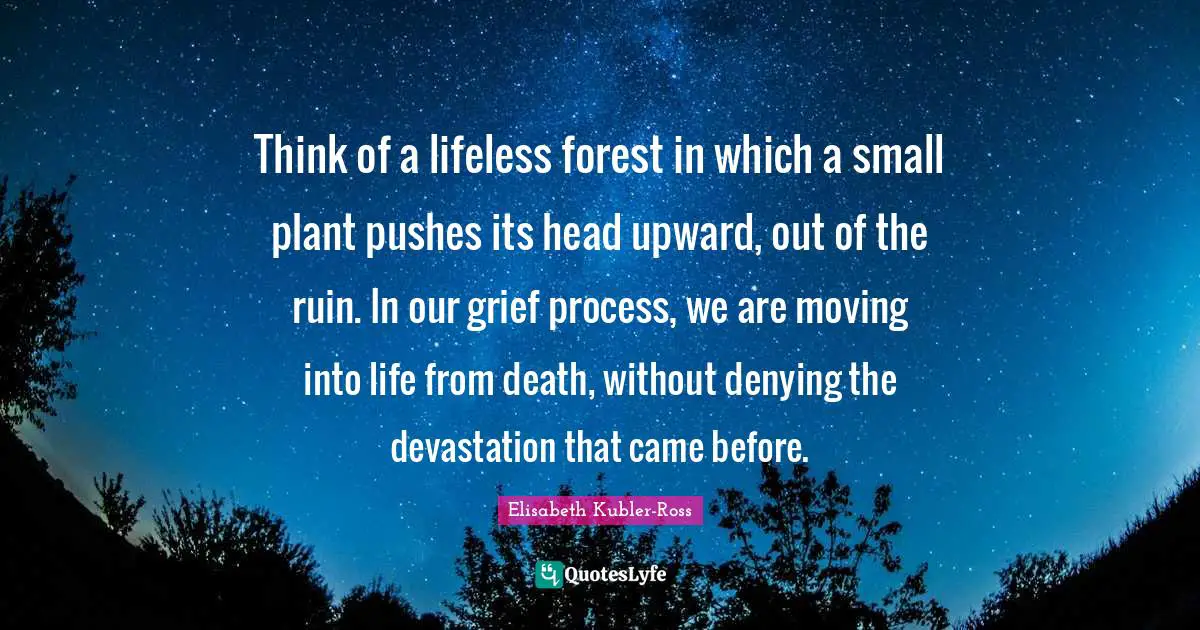 Lifeless Quotes: "Think of a lifeless forest in which a small plant pushes its head upward, out of the ruin. In our grief process, we are moving into life from death, without denying the devastation that came before."