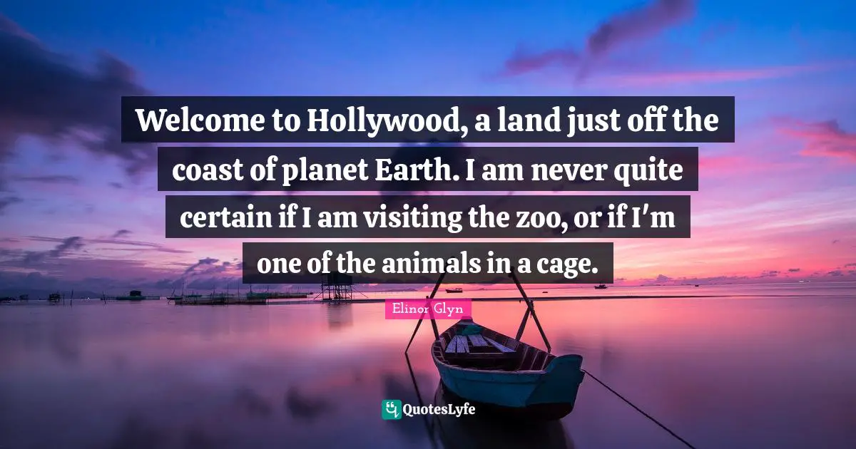 Welcome to Hollywood, a land just off the coast of planet Earth. I am never quite certain if I am visiting the zoo, or if I'm one of the animals in a cage.