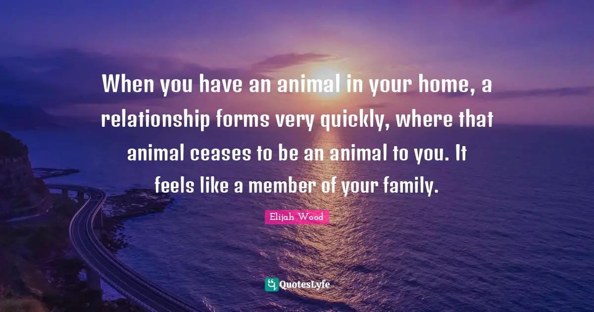 When you have an animal in your home, a relationship forms very quickly, where that animal ceases to be an animal to you. It feels like a member of your family.