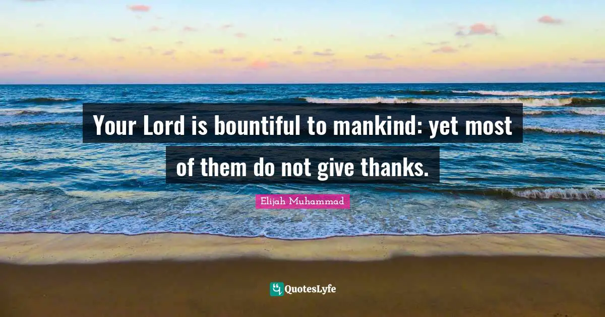 Your Lord is bountiful to mankind: yet most of them do not give thanks.