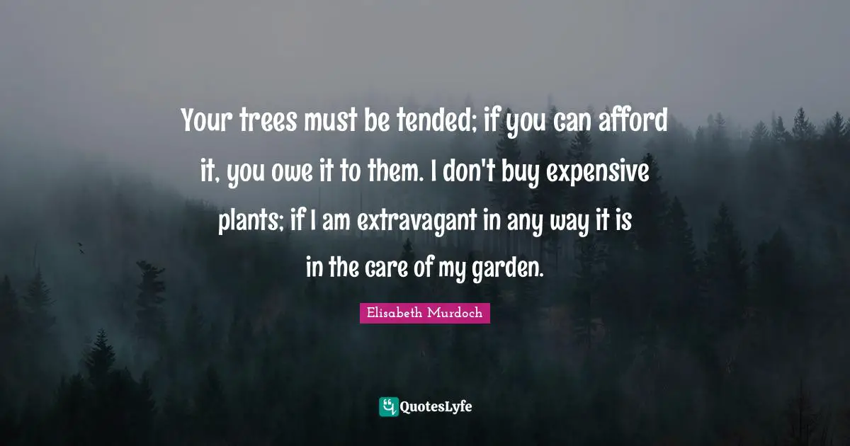 Your trees must be tended; if you can afford it, you owe it to them. I don't buy expensive plants; if I am extravagant in any way it is in the care of my garden.