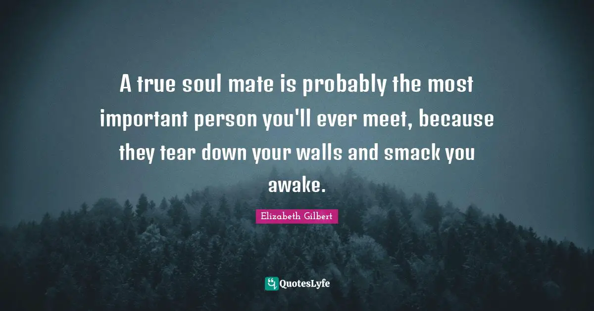 A true soul mate is probably the most important person you'll ever meet, because they tear down your walls and smack you awake.