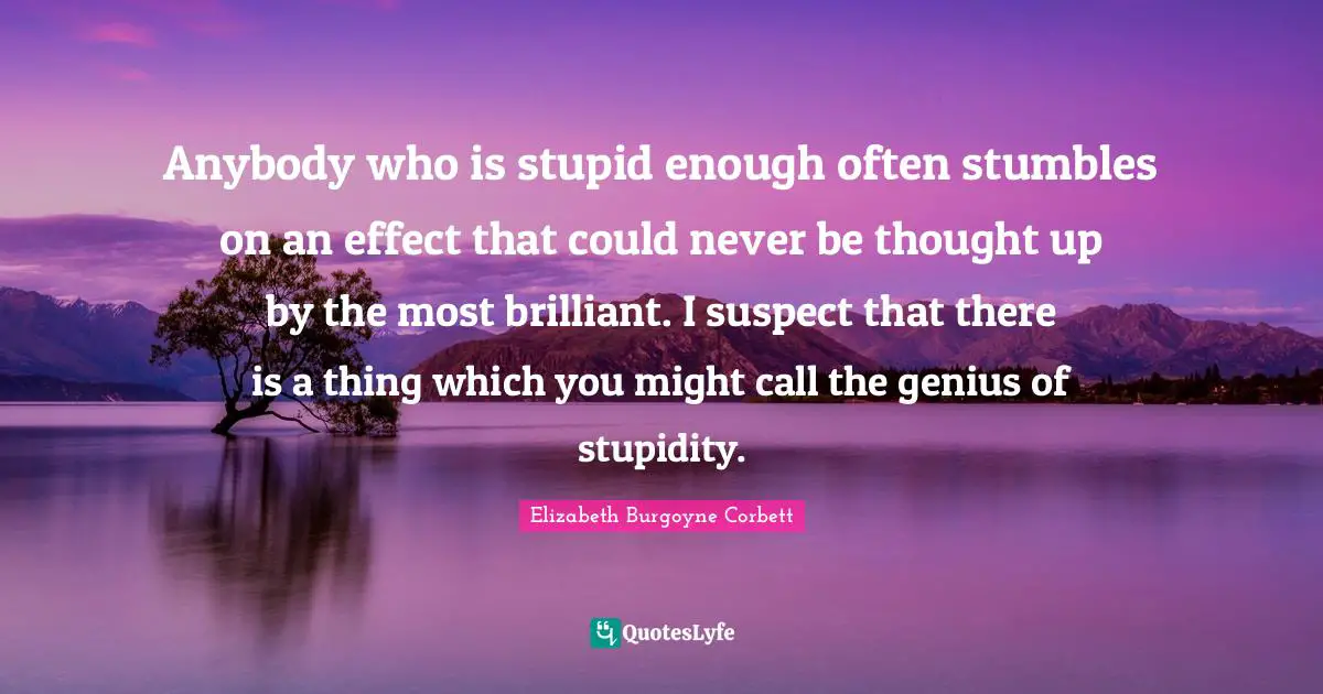 Anybody who is stupid enough often stumbles on an effect that could never be thought up by the most brilliant. I suspect that there is a thing which you might call the genius of stupidity.