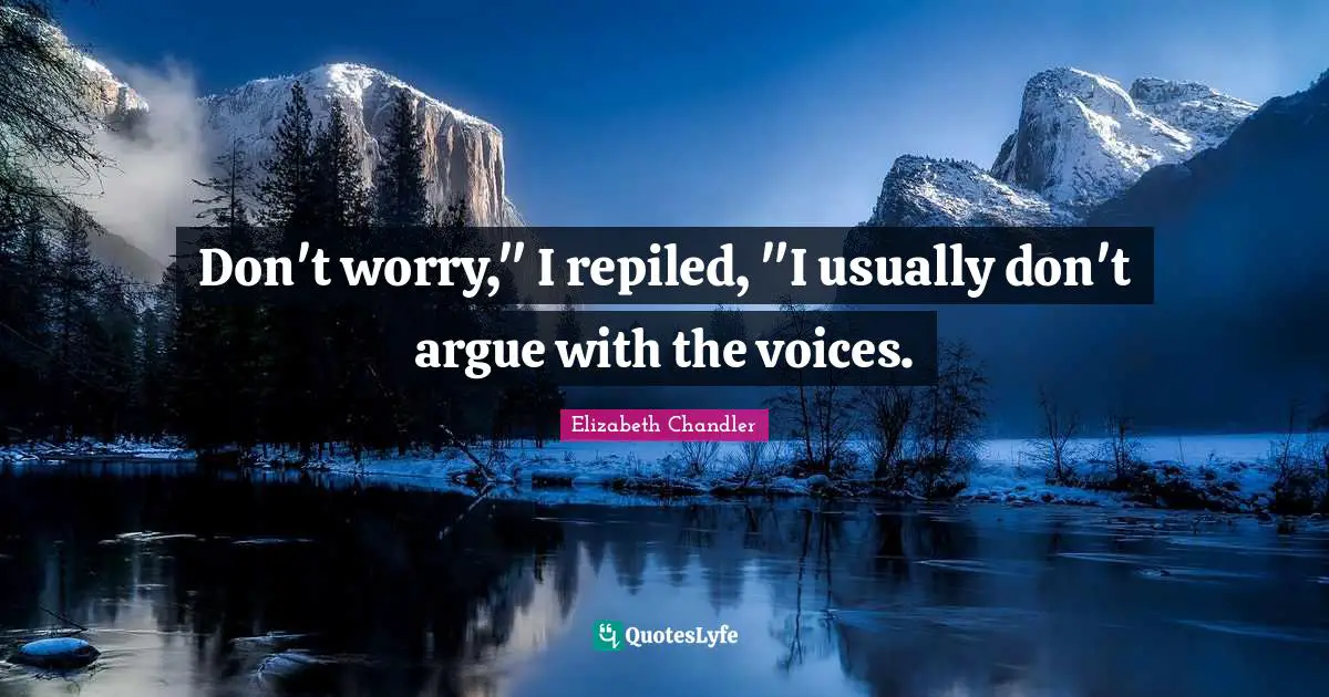 Elizabeth Chandler Quotes: "Don't worry," I repiled, "I usually don't argue with the voices."