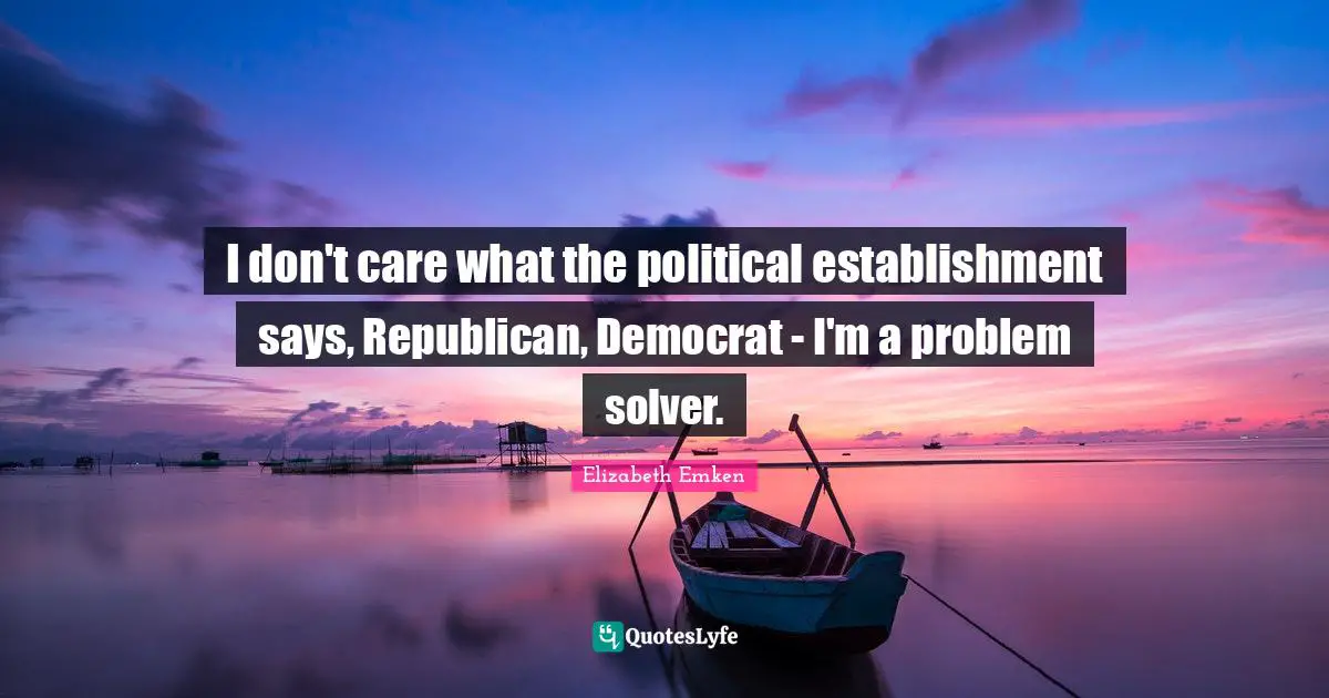 I don't care what the political establishment says, Republican, Democrat - I'm a problem solver.