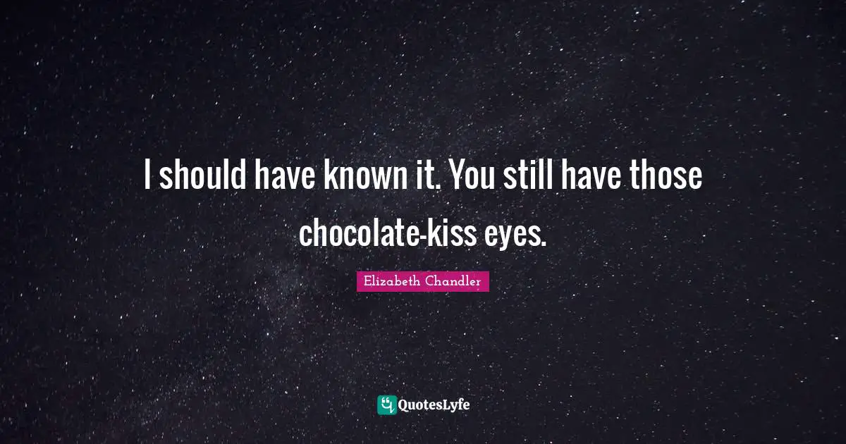 Elizabeth Chandler Quotes: "I should have known it. You still have those chocolate-kiss eyes."