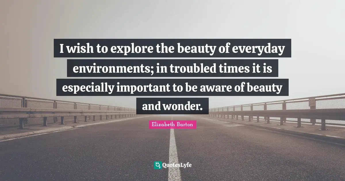 I wish to explore the beauty of everyday environments; in troubled times it is especially important to be aware of beauty and wonder.