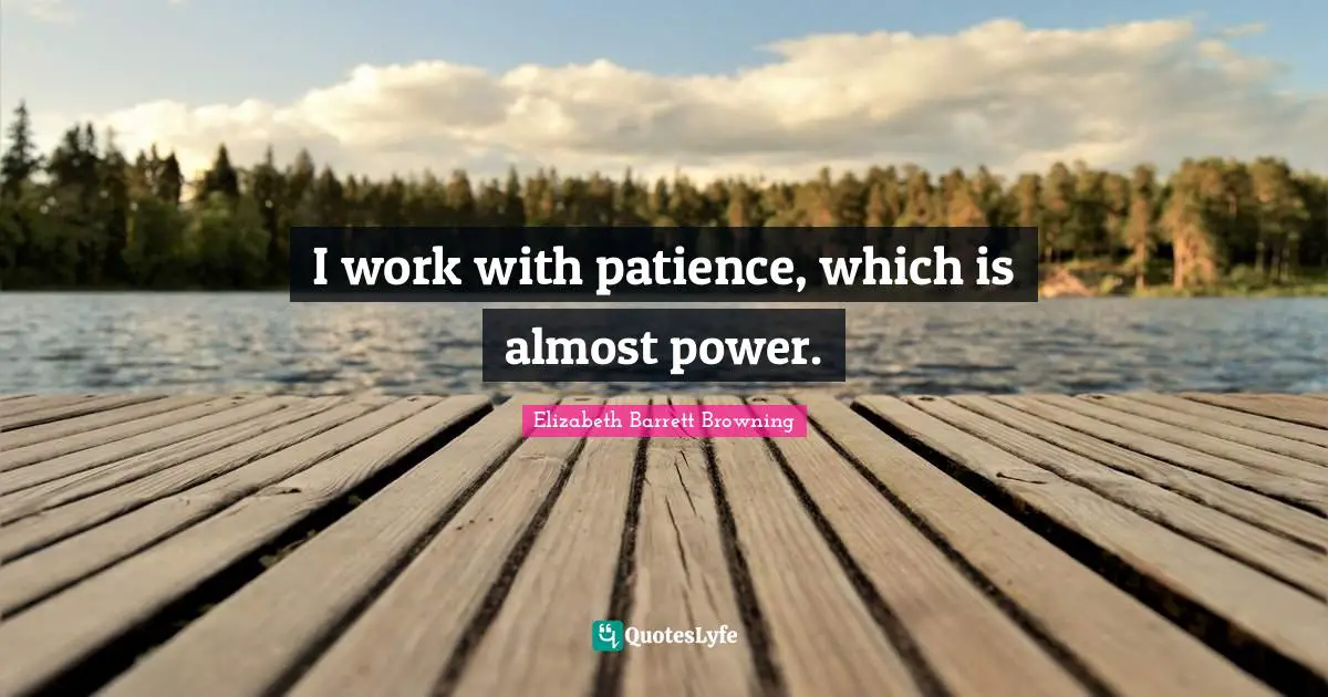 I work with patience, which is almost power.