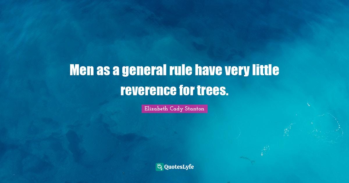 Men as a general rule have very little reverence for trees.