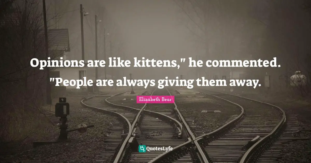 Opinions are like kittens," he commented. "People are always giving them away.