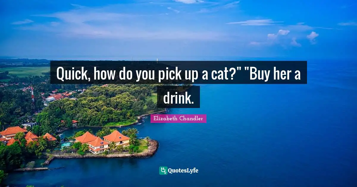 Quick, how do you pick up a cat?" "Buy her a drink.
