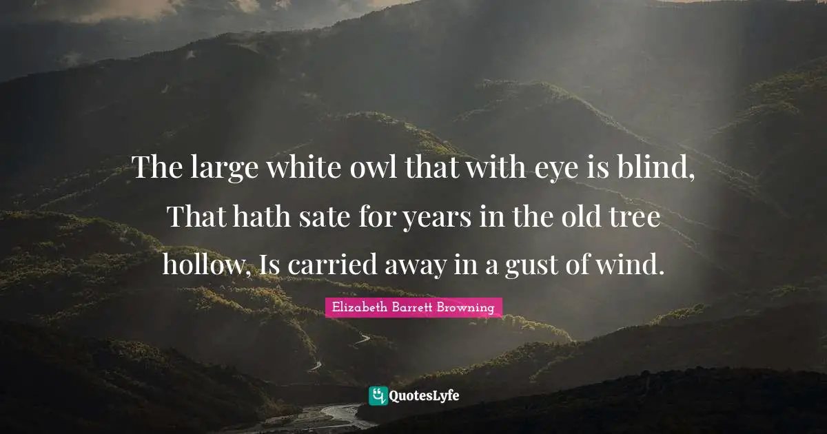 The large white owl that with eye is blind, That hath sate for years in the old tree hollow, Is carried away in a gust of wind.