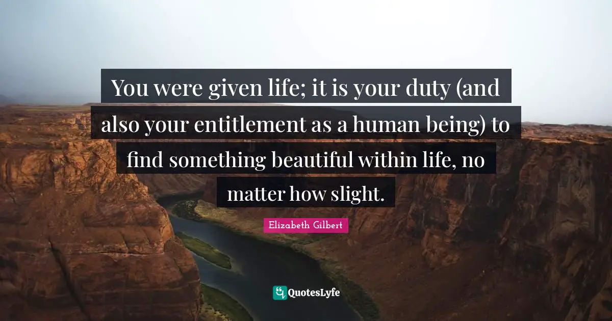 You were given life; it is your duty (and also your entitlement as a human being) to find something beautiful within life, no matter how slight.