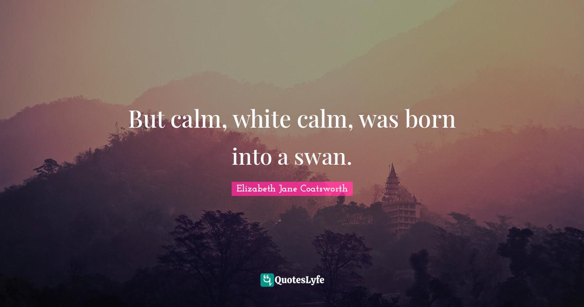 Swans Quotes: "But calm, white calm, was born into a swan."