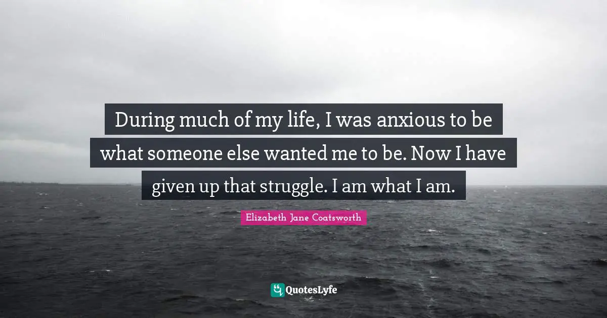 During much of my life, I was anxious to be what someone else wanted me to be. Now I have given up that struggle. I am what I am.