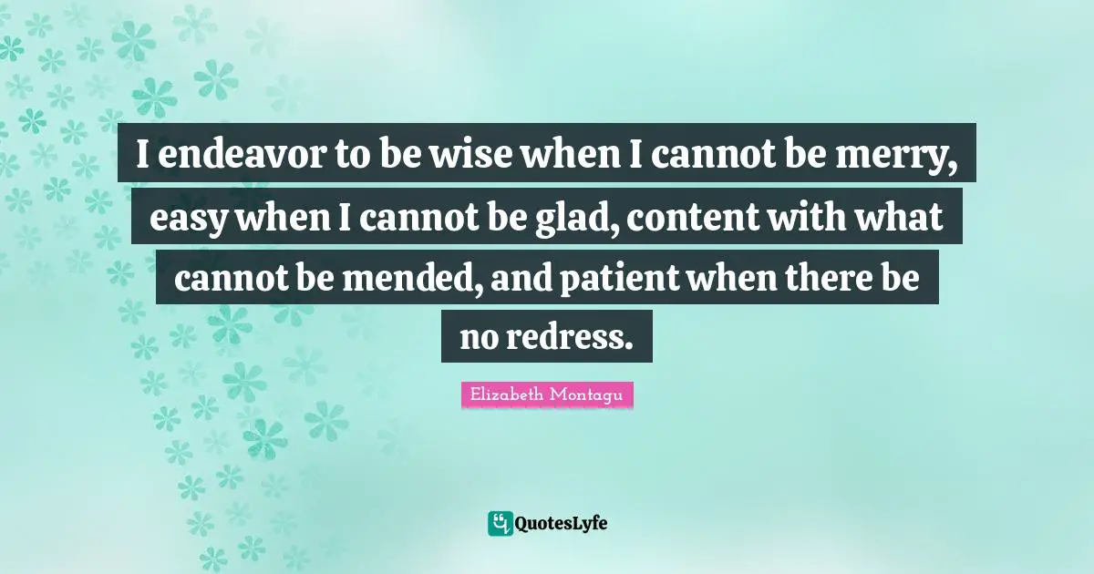 I endeavor to be wise when I cannot be merry, easy when I cannot be glad, content with what cannot be mended, and patient when there be no redress.