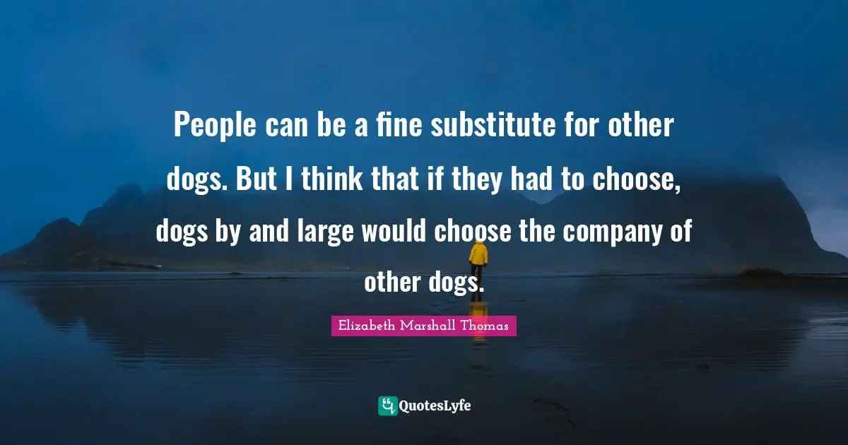 People can be a fine substitute for other dogs. But I think that if they had to choose, dogs by and large would choose the company of other dogs.
