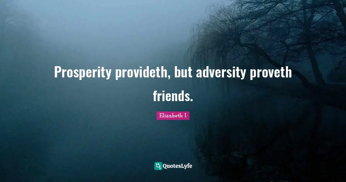 Prosperity provideth, but adversity proveth friends.