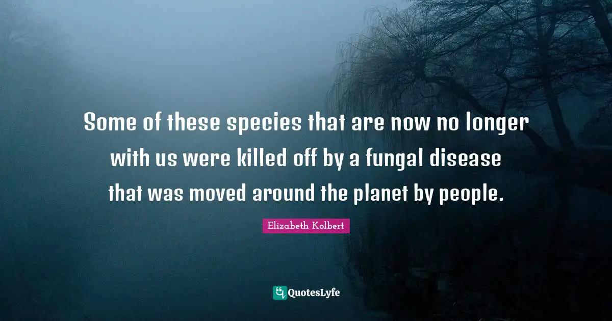Some of these species that are now no longer with us were killed off by a fungal disease that was moved around the planet by people.