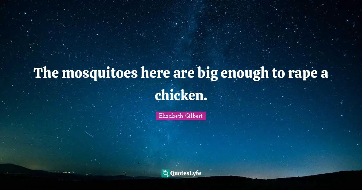 The mosquitoes here are big enough to rape a chicken.