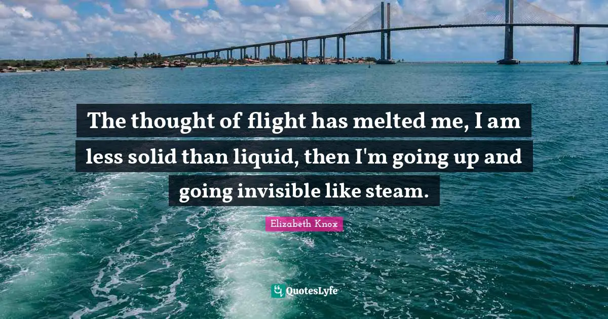 The thought of flight has melted me, I am less solid than liquid, then I'm going up and going invisible like steam.