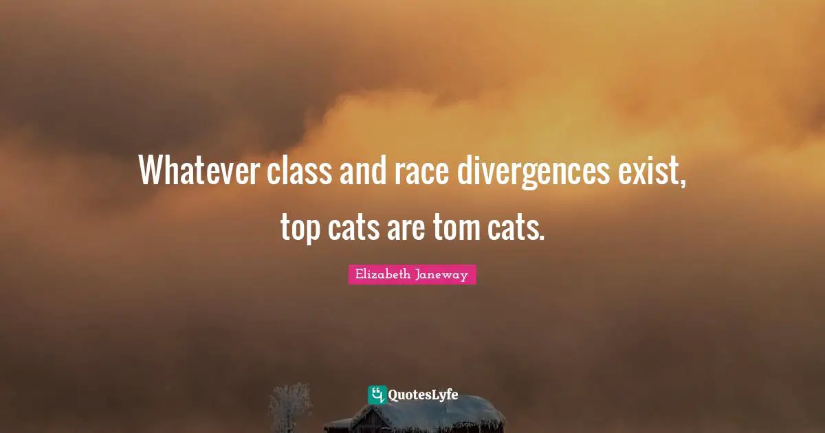Whatever class and race divergences exist, top cats are tom cats.