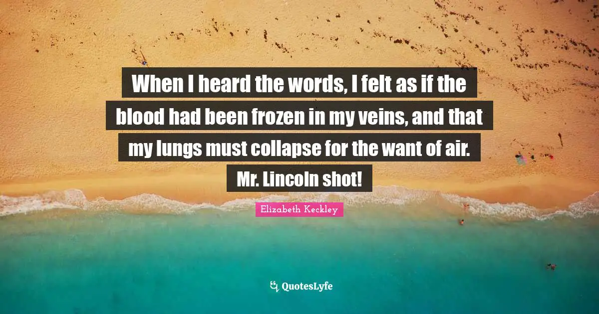 When I heard the words, I felt as if the blood had been frozen in my veins, and that my lungs must collapse for the want of air. Mr. Lincoln shot!