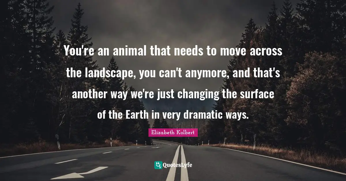 You're an animal that needs to move across the landscape, you can't anymore, and that's another way we're just changing the surface of the Earth in very dramatic ways.