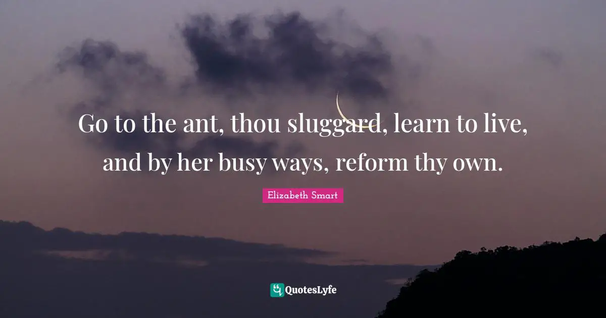 Go to the ant, thou sluggard, learn to live, and by her busy ways, reform thy own.