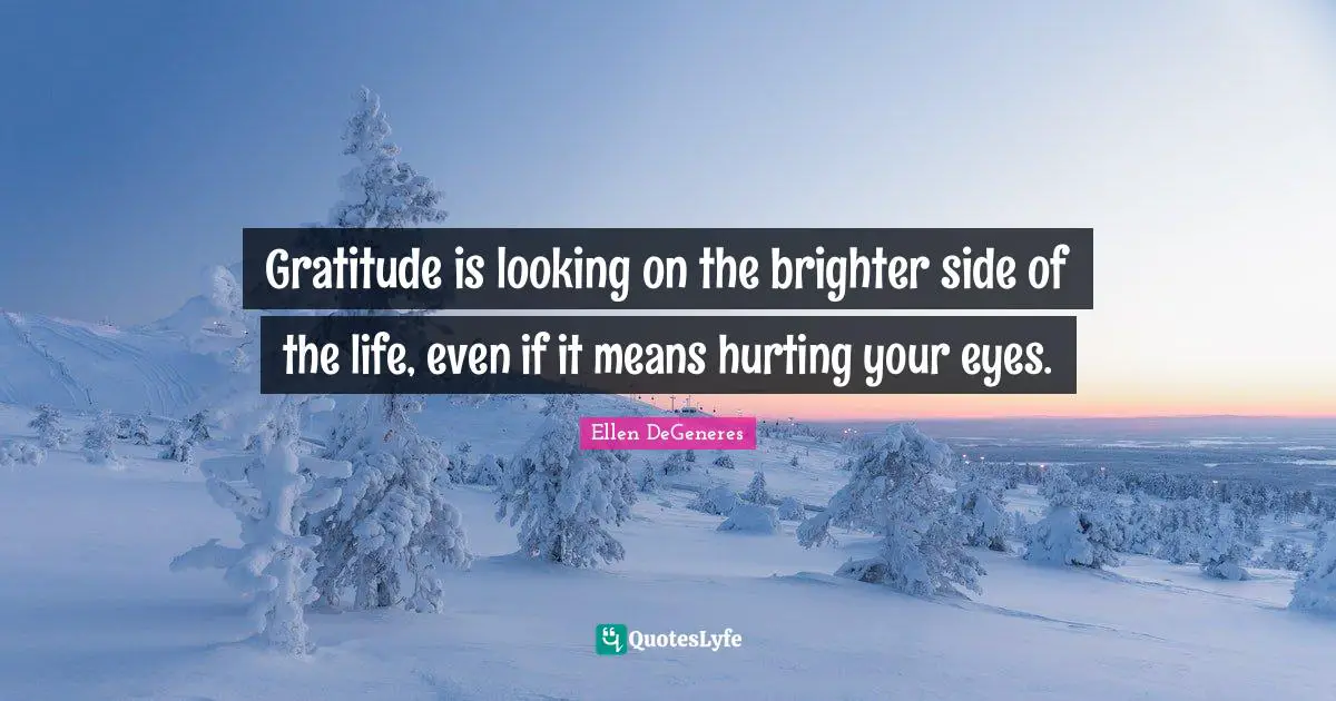 Gratitude is looking on the brighter side of the life, even if it means hurting your eyes.