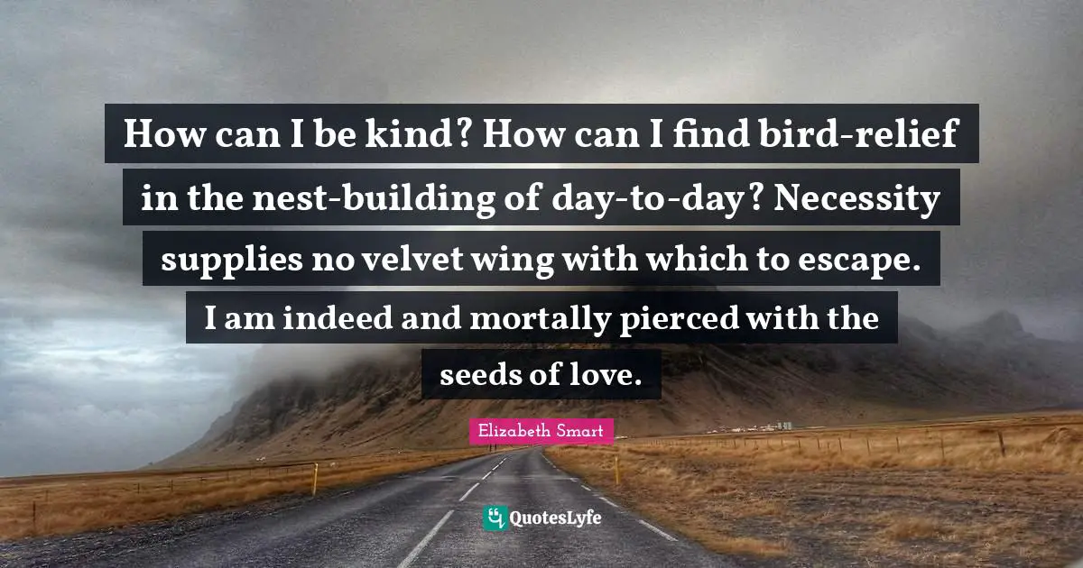 How can I be kind? How can I find bird-relief in the nest-building of day-to-day? Necessity supplies no velvet wing with which to escape. I am indeed and mortally pierced with the seeds of love.
