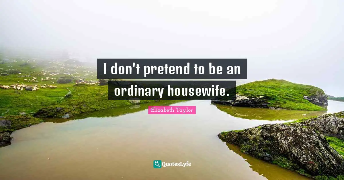 I don't pretend to be an ordinary housewife.