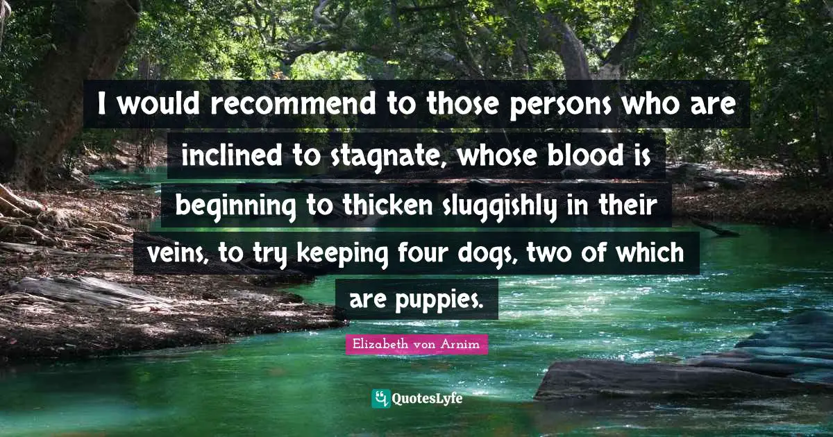 I would recommend to those persons who are inclined to stagnate, whose blood is beginning to thicken sluggishly in their veins, to try keeping four dogs, two of which are puppies.
