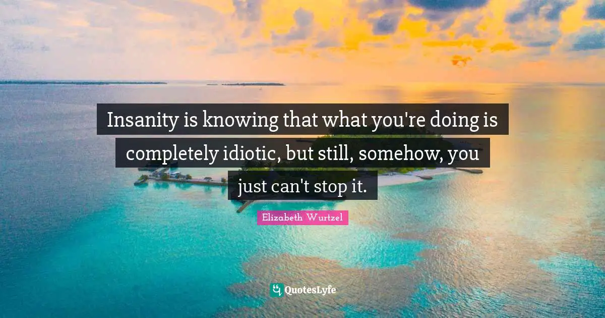 Elizabeth Wurtzel Quotes: "Insanity is knowing that what you're doing is completely idiotic, but still, somehow, you just can't stop it."