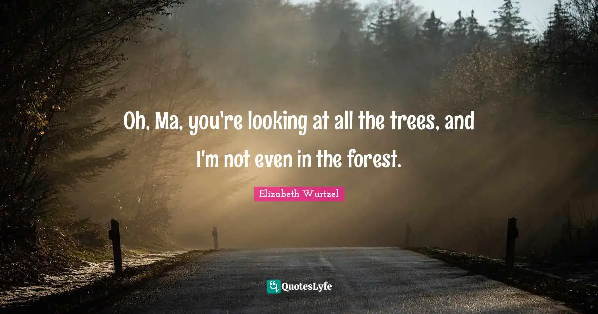 Oh, Ma, you're looking at all the trees, and I'm not even in the forest.