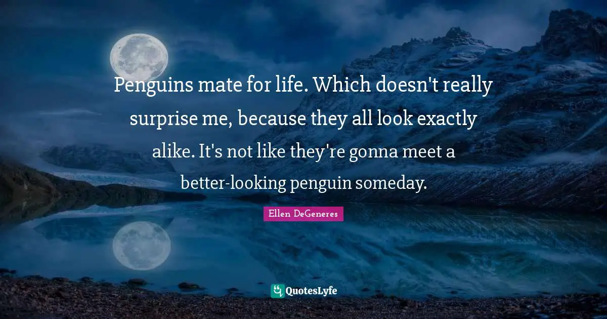 Penguins mate for life. Which doesn't really surprise me, because they all look exactly alike. It's not like they're gonna meet a better-looking penguin someday.