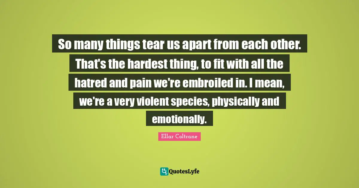 So many things tear us apart from each other. That's the hardest thing, to fit with all the hatred and pain we're embroiled in. I mean, we're a very violent species, physically and emotionally.