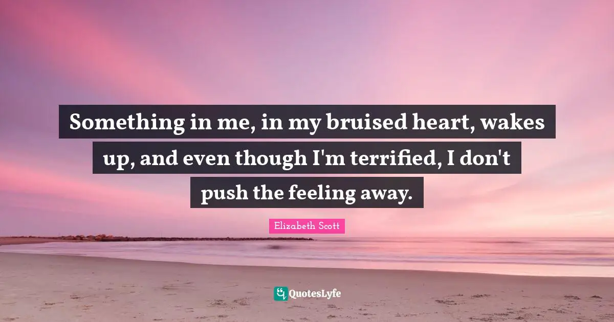 Something in me, in my bruised heart, wakes up, and even though I'm terrified, I don't push the feeling away.