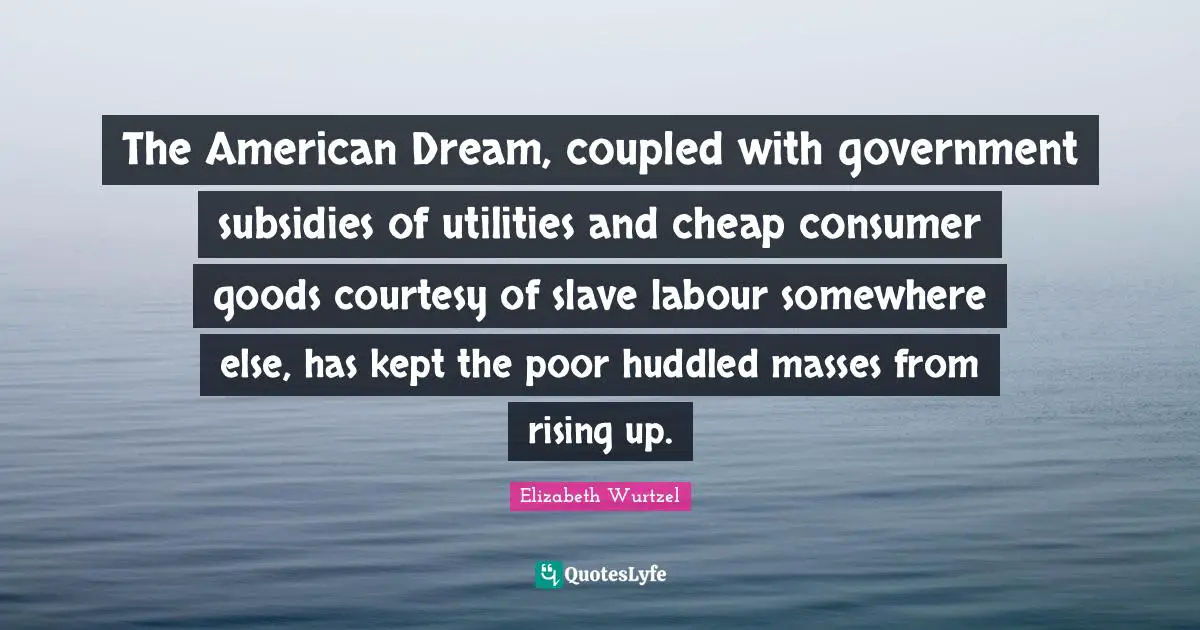 Elizabeth Wurtzel Quotes: "The American Dream, coupled with government subsidies of utilities and cheap consumer goods courtesy of slave labour somewhere else, has kept the poor huddled masses from rising up."