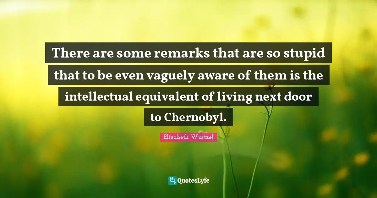 Elizabeth Wurtzel Quotes: "There are some remarks that are so stupid that to be even vaguely aware of them is the intellectual equivalent of living next door to Chernobyl."