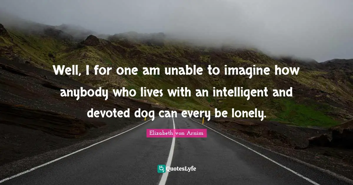 Well, I for one am unable to imagine how anybody who lives with an intelligent and devoted dog can every be lonely.
