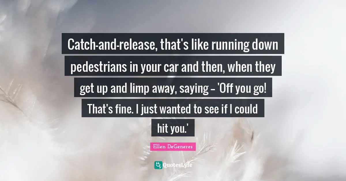 Catch-and-release, that's like running down pedestrians in your car and then, when they get up and limp away, saying -- 'Off you go! That's fine. I just wanted to see if I could hit you.'