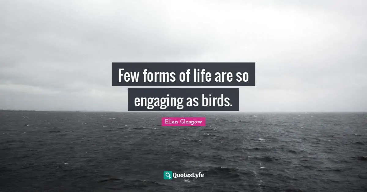 Few forms of life are so engaging as birds.