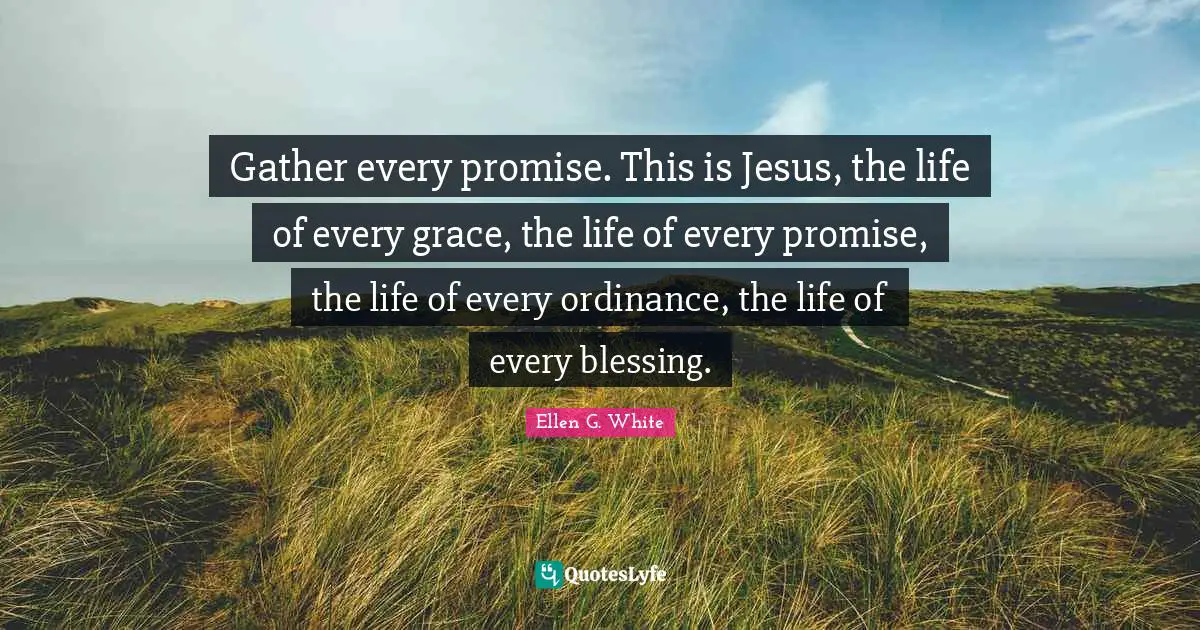 Gather every promise. This is Jesus, the life of every grace, the life of every promise, the life of every ordinance, the life of every blessing.