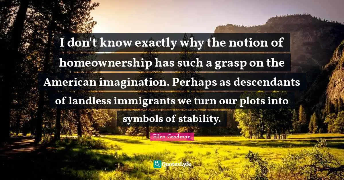 I don't know exactly why the notion of homeownership has such a grasp on the American imagination. Perhaps as descendants of landless immigrants we turn our plots into symbols of stability.