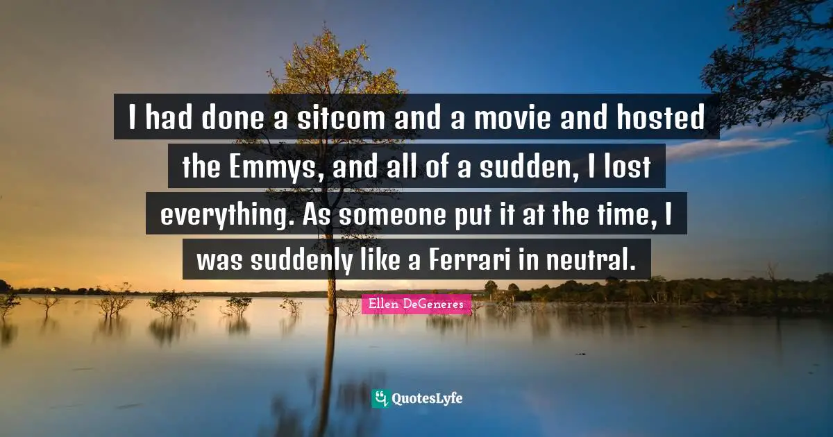 Sitcom Quotes: "I had done a sitcom and a movie and hosted the Emmys, and all of a sudden, I lost everything. As someone put it at the time, I was suddenly like a Ferrari in neutral."